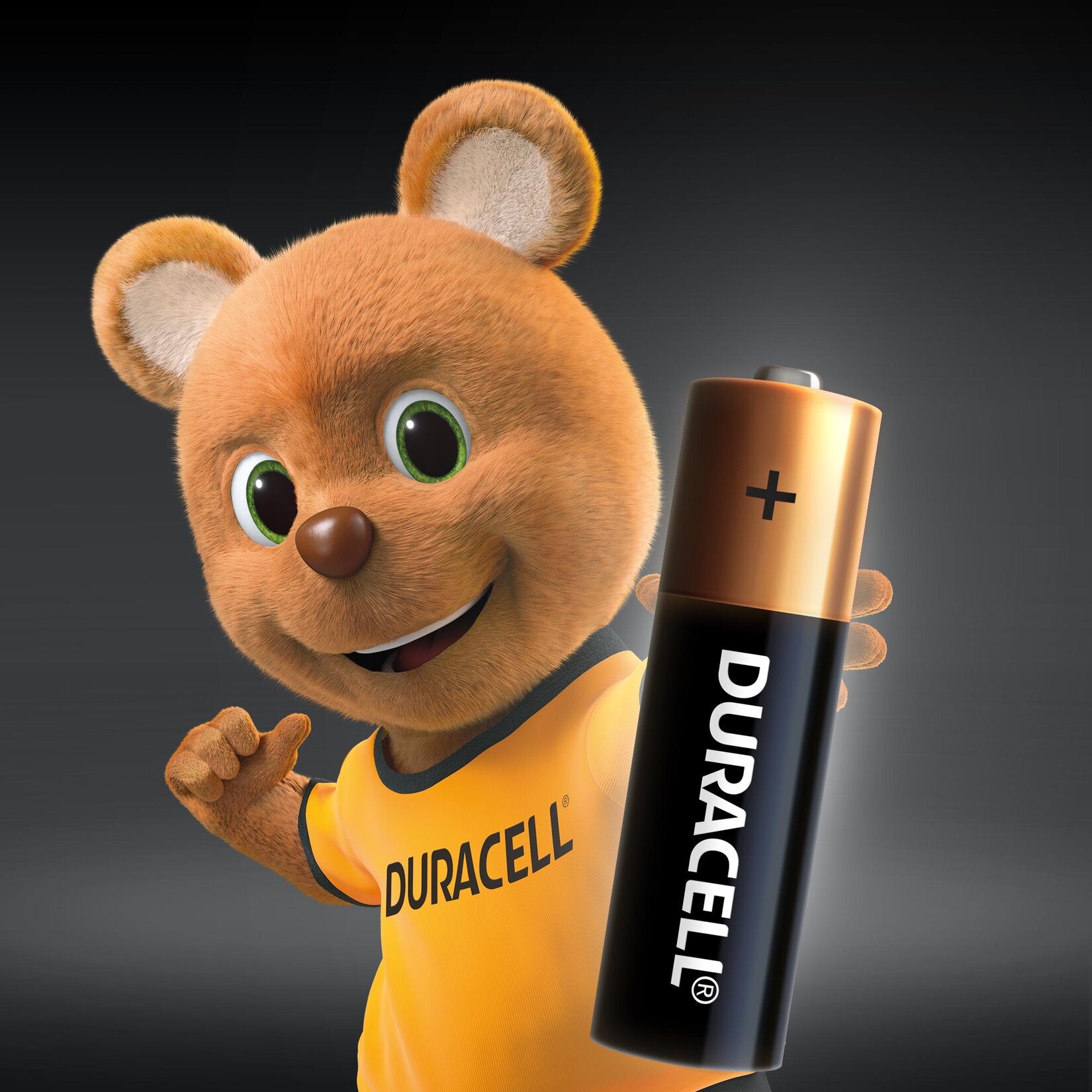 Duracell Alkalin AA Kalem Pil 1,5 V (LR6 / MN1500) 6'lı Paket - Görsel 2