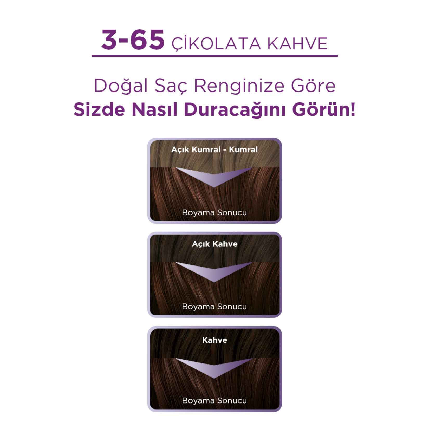 Palette Göz Alıcı Renkler 3-65 Çikolata Kahve Saç Boyası 110 Ml - Görsel 2