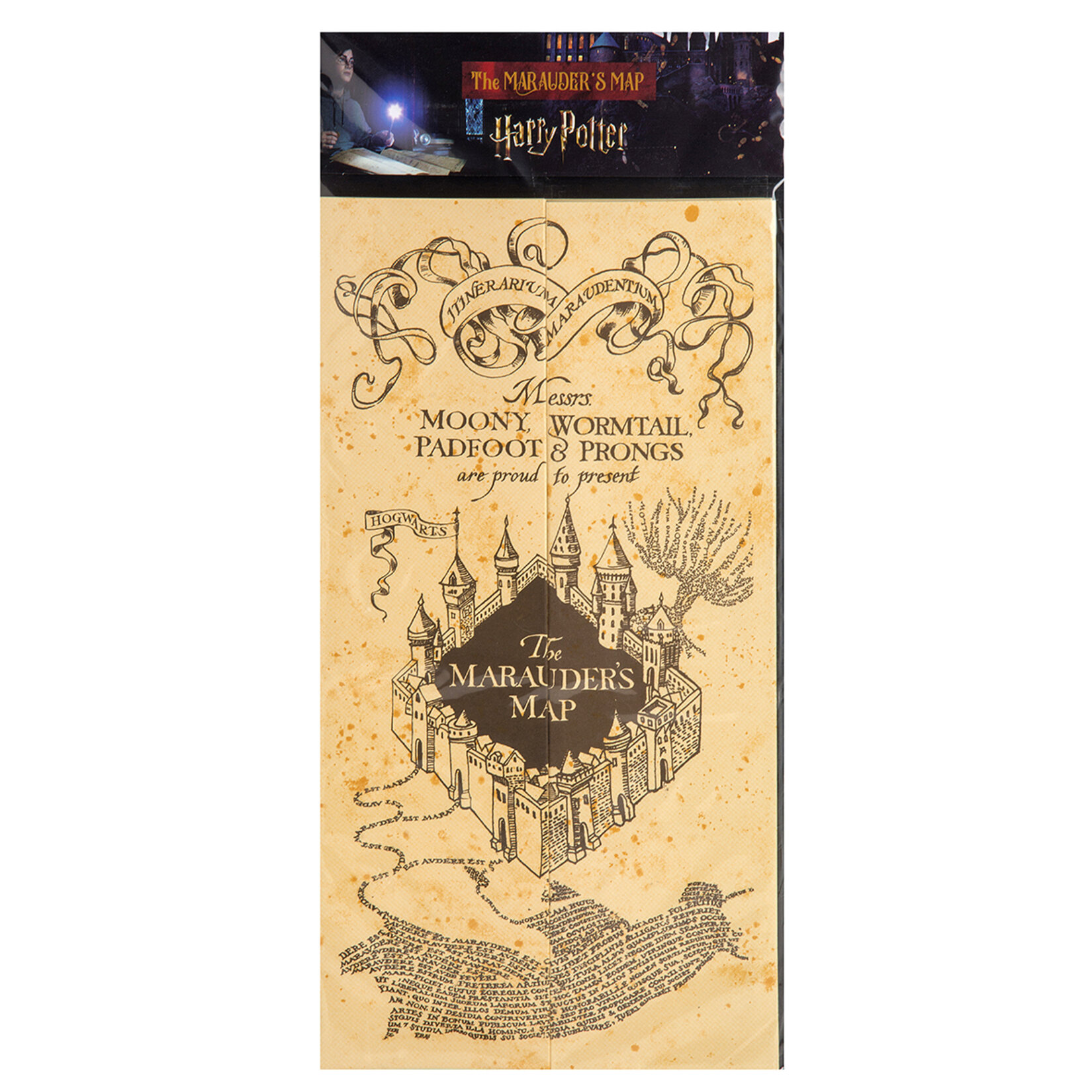 Harry Potter Çapulcu Haritası