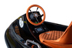 Seajoy Water Go Kart Siyah Aksesuarlı - Görsel 4