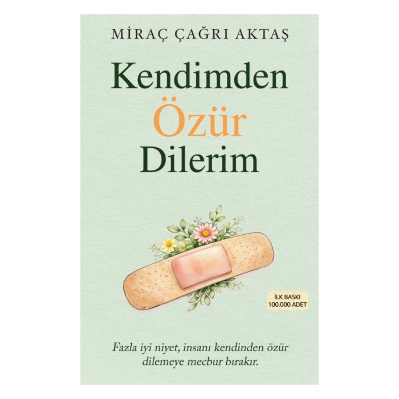 Kendimden Özür Dilerim
