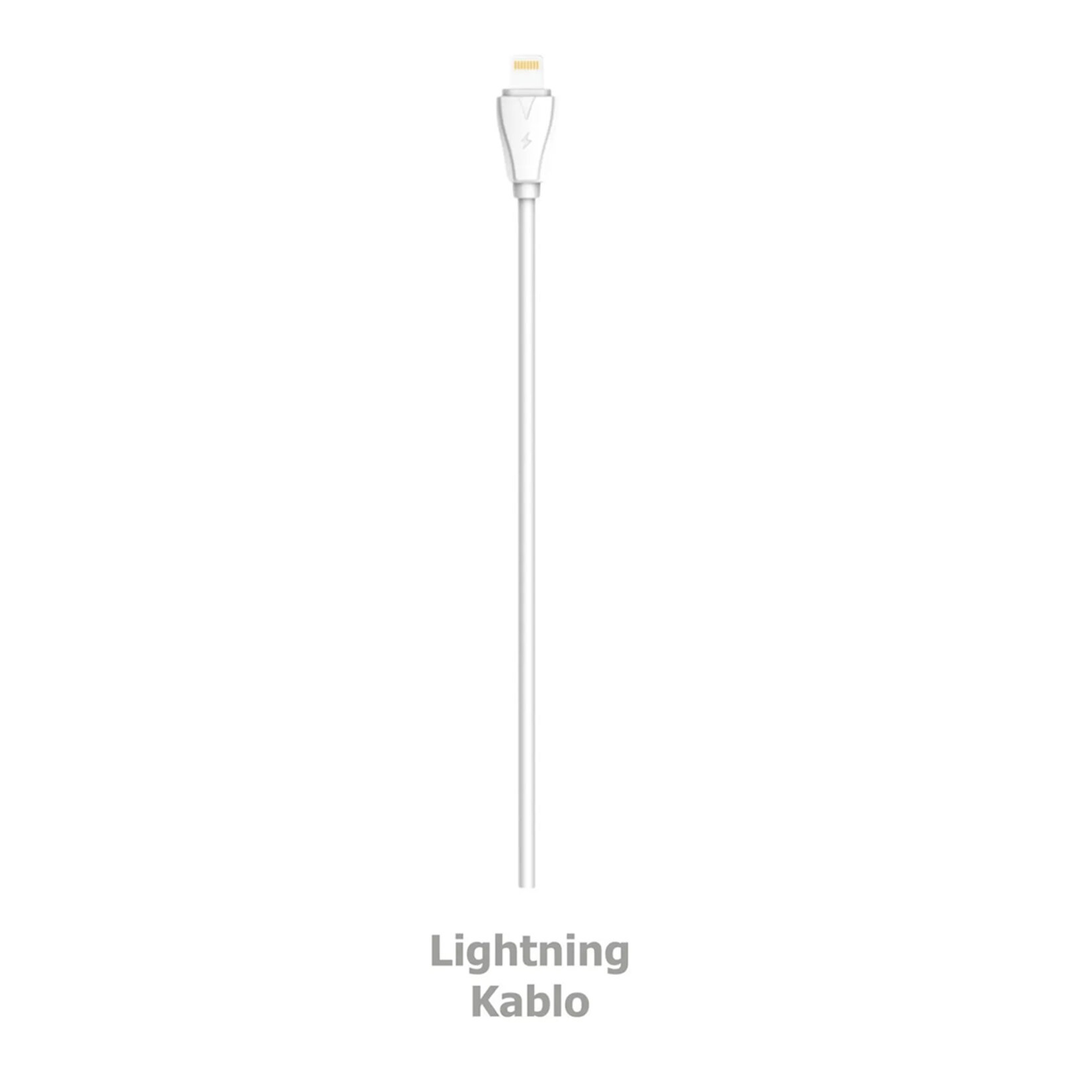 Ldnio Ev Şarj Cihazı + Lightning Kablo A2221 - Görsel 3