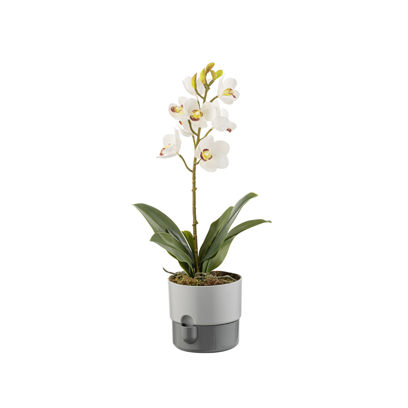 Farist Garden Dora 2 L Saksı Stone - Görsel 2
