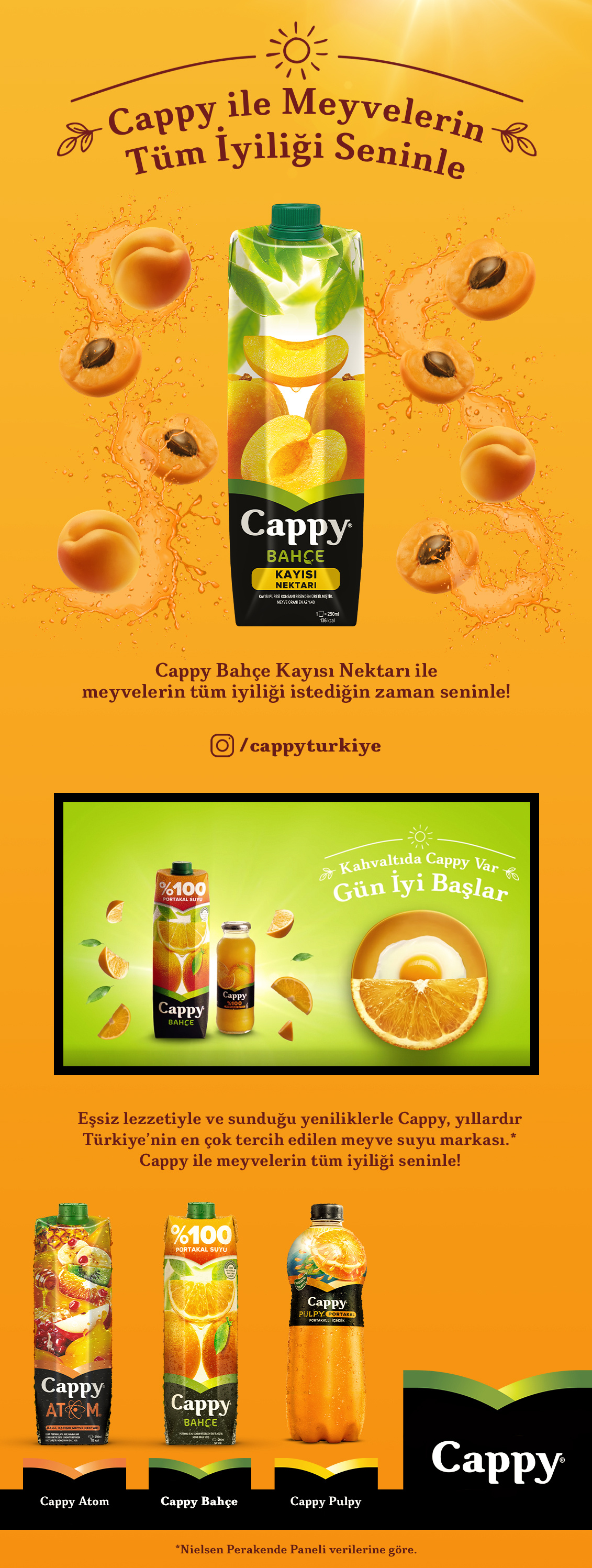 Ürün Detayı