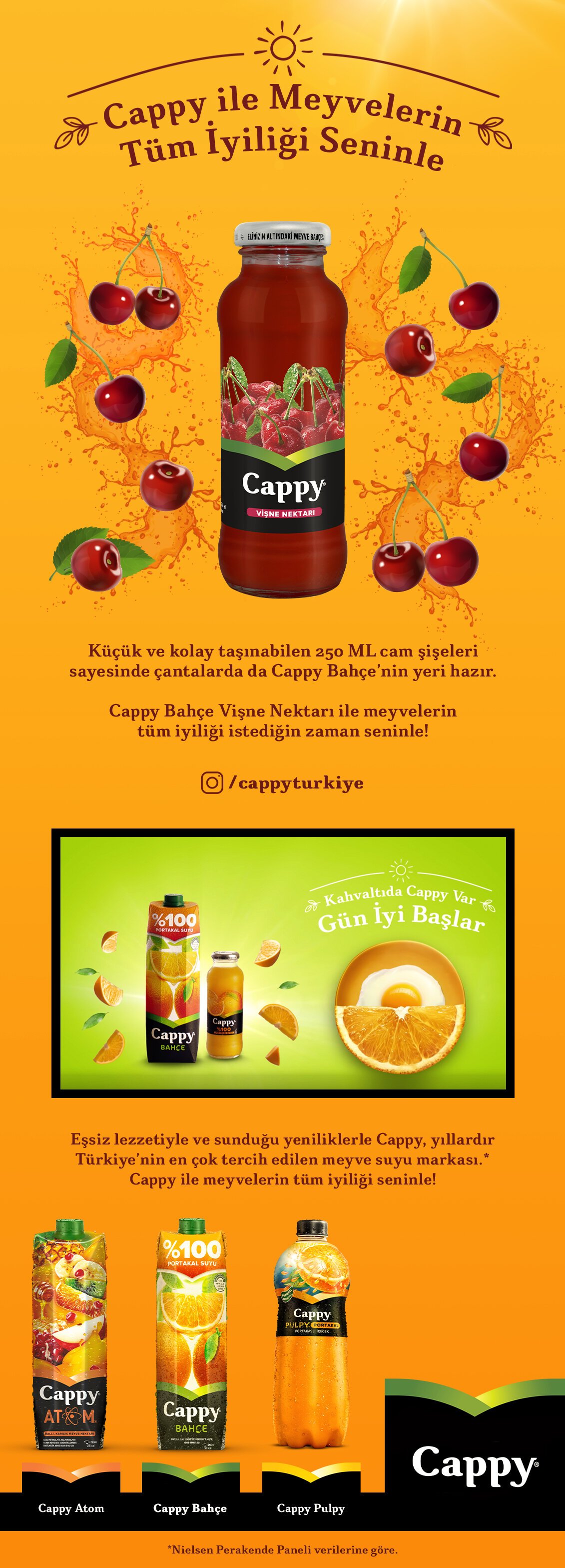 Ürün Detayı