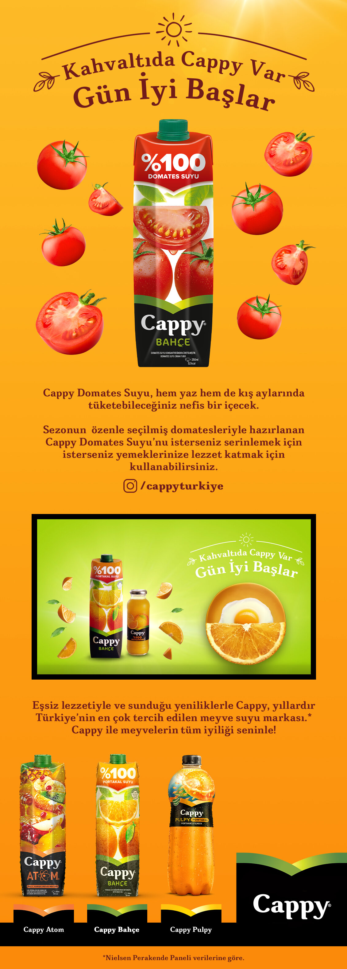 Ürün Detayı