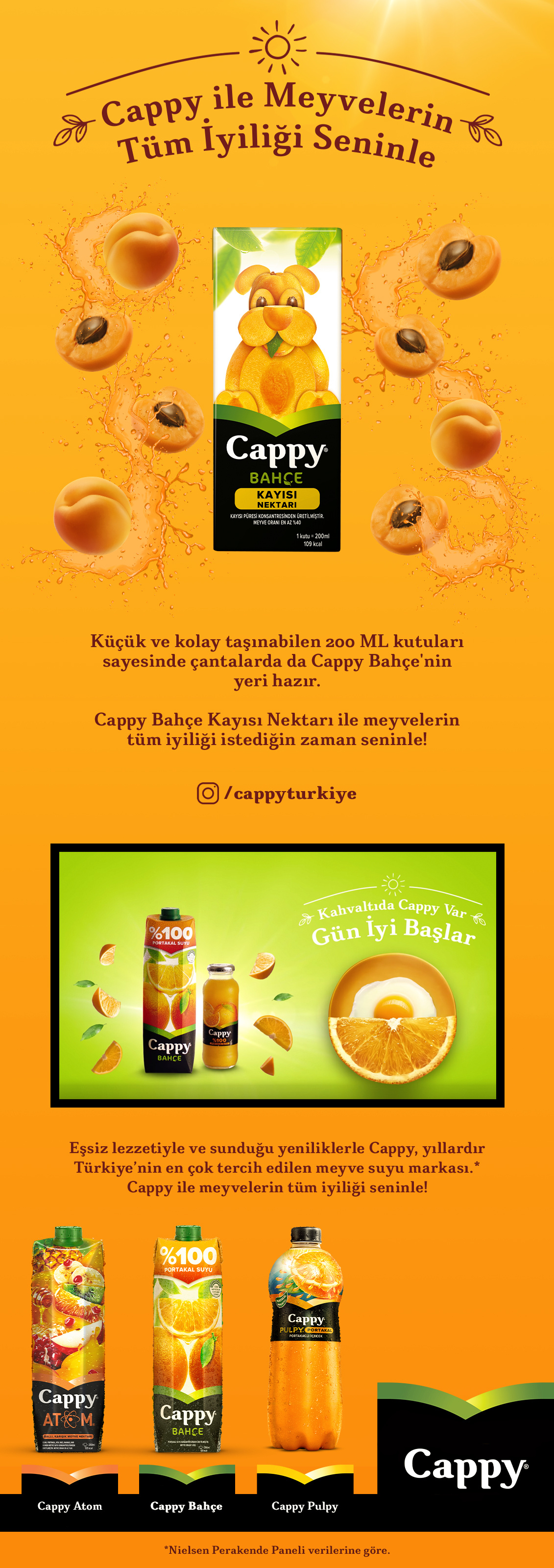 Ürün Detayı