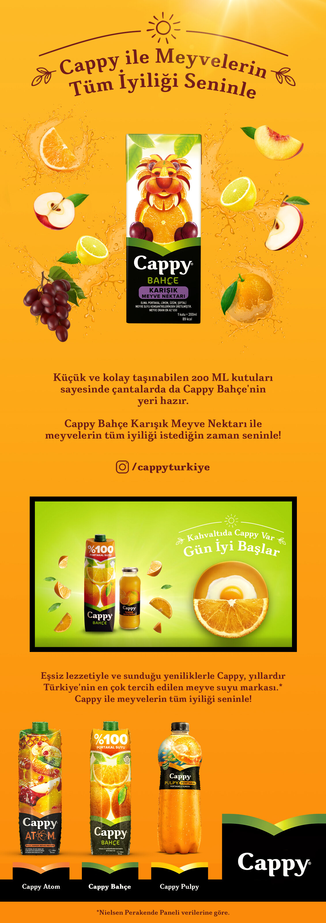 Ürün Detayı