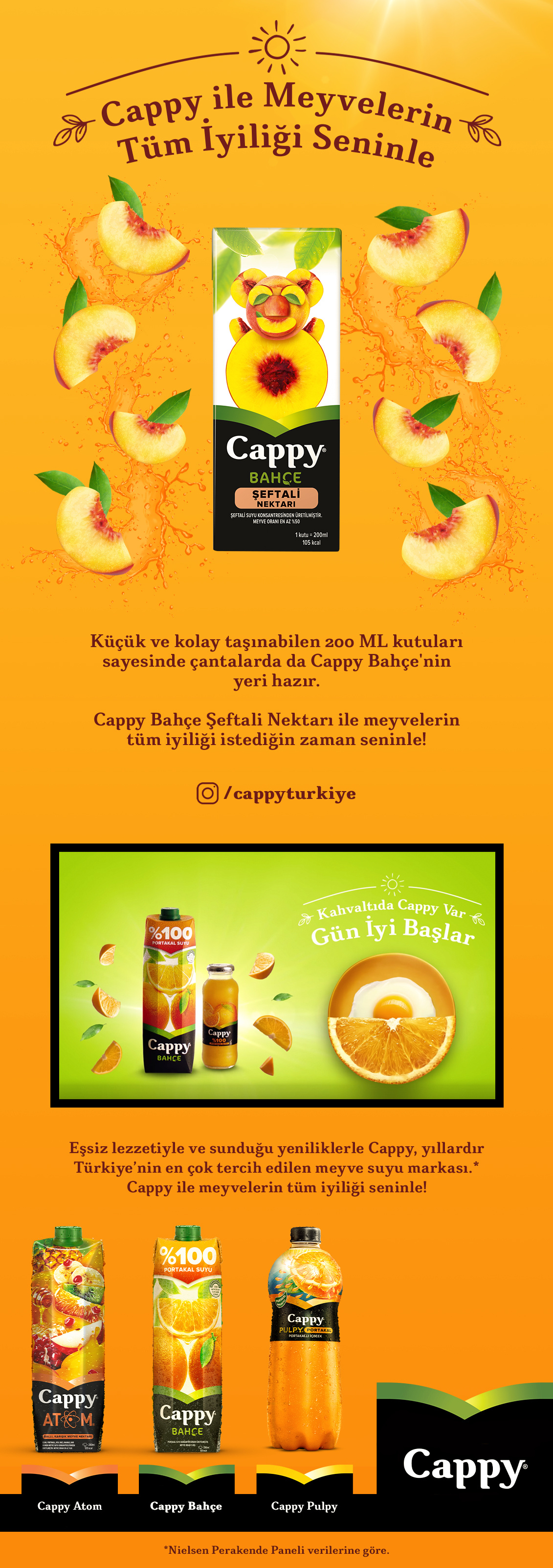 Ürün Detayı