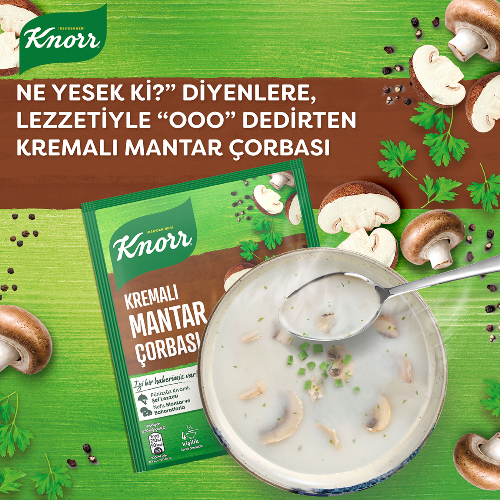 Knorr Hazır Çorba Kremalı Mantar 4 Kişilik 63 G - Görsel 3