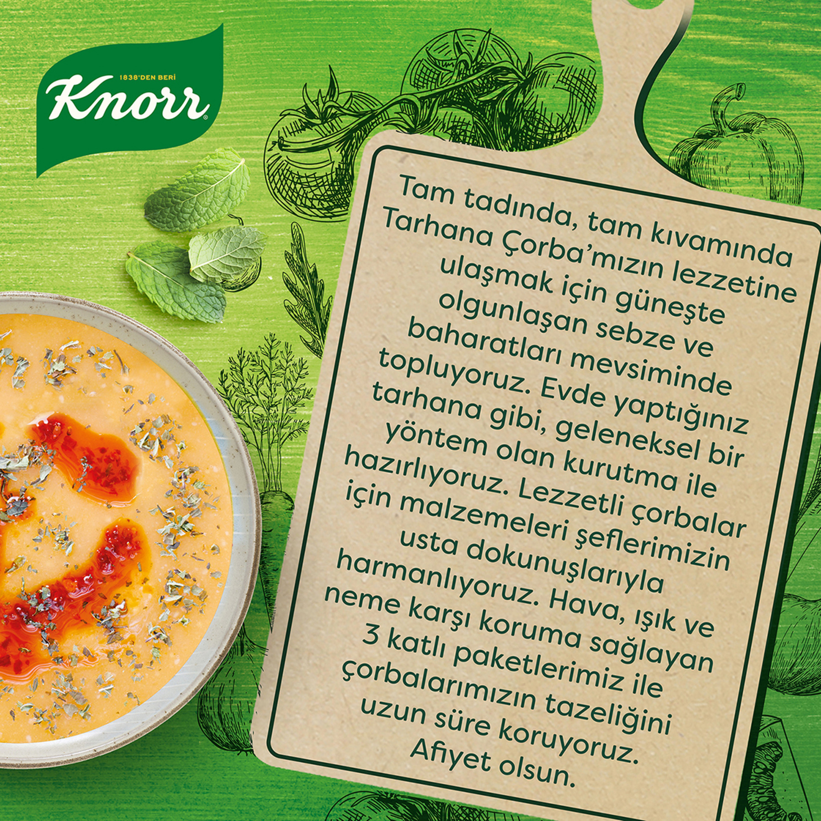 Knorr Hazır Çorba Tarhana Çorbası 74 G - Görsel 4