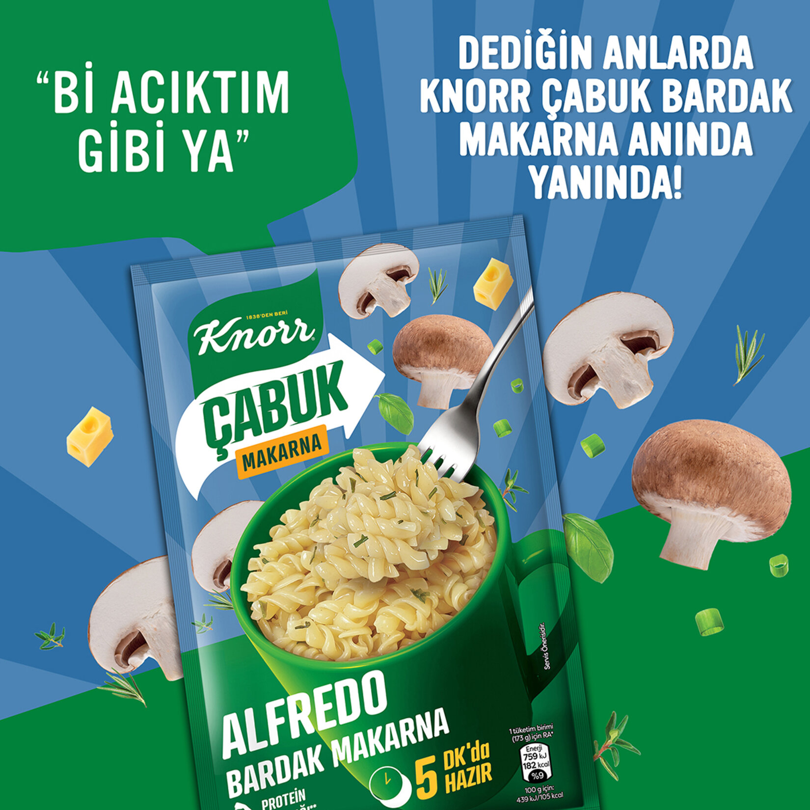 Knorr Çabuk Alfredo Bardak Makarna 48G - Görsel 4