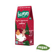Humm Organic Zencefilli Tarçınlı Vegan Kurabiye 55 G - Görsel 2