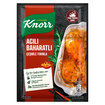 Knorr Fırında Tavuk Çeşnisi Acılı Baharatlı 31 G - Görsel 1