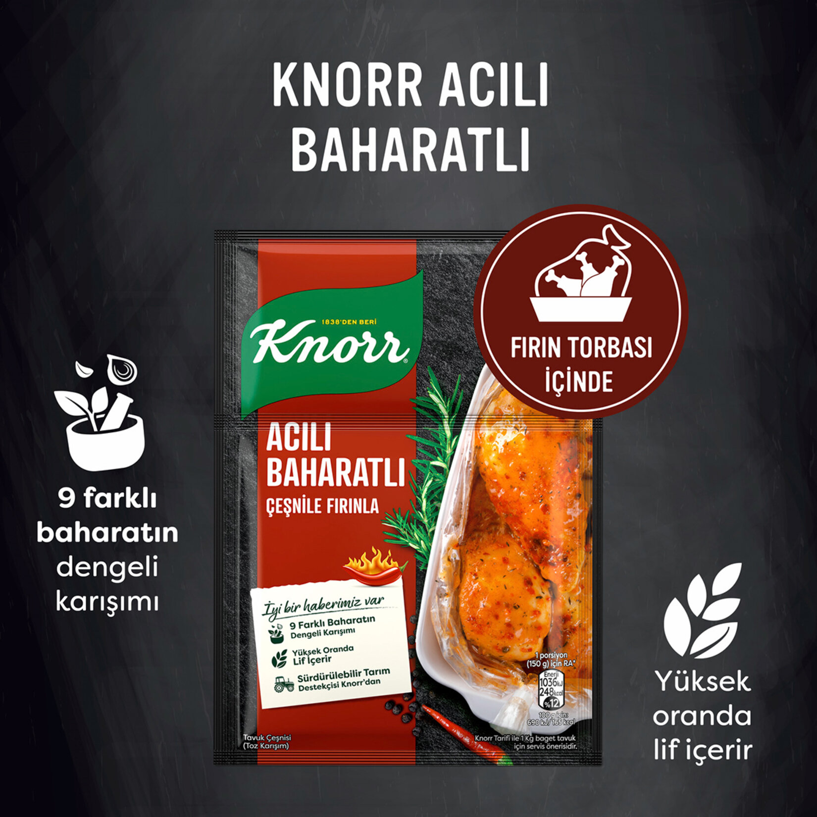 Knorr Fırında Tavuk Çeşnisi Acılı Baharatlı 31 G - Görsel 3
