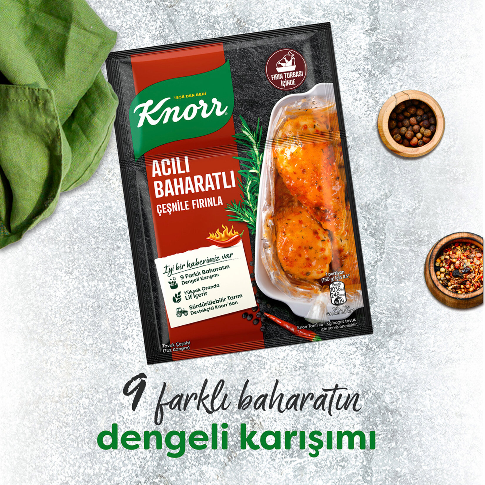 Knorr Fırında Tavuk Çeşnisi Acılı Baharatlı 31 G - Görsel 4