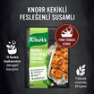 Knorr Fırında Tavuk Çeşnisi Kekikli Fesleğenli Susamlı 29 G - Görsel 3