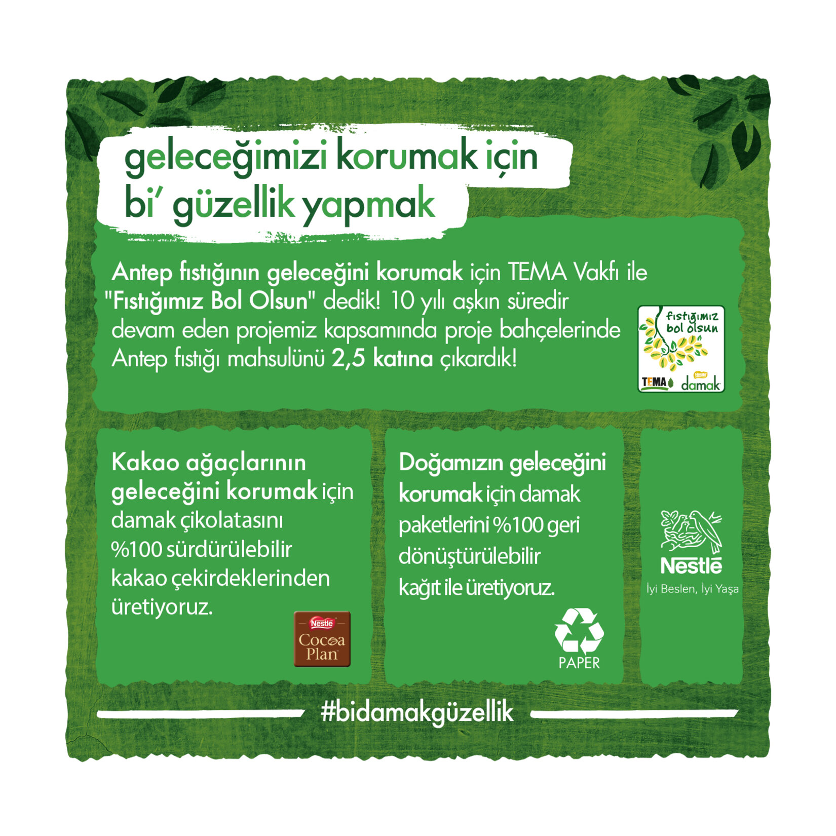 Nestle Damak Antep Fıstıklı Sütlü Çikolata 70 G - Görsel 4
