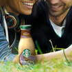 Starbucks Frappuccino Mocha 250 Ml - Görsel 3