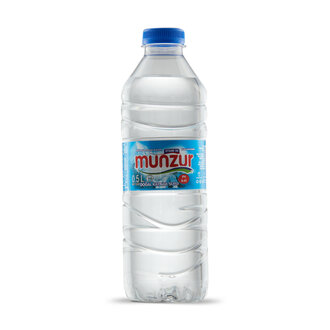 Munzur Su Pet Şişe 500 Ml
