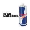 Red Bull Enerji İçeceği 4'lü Paket - 4x250 Ml - Görsel 2