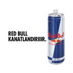 Red Bull Enerji İçeceği 355 Ml - Görsel 2