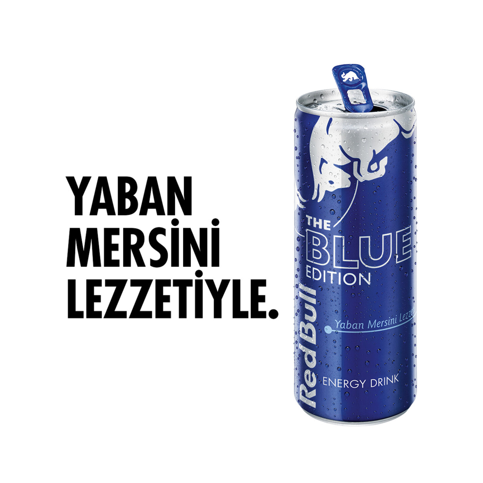 Red Bull Enerji İçeceği Yaban Mersini 250 Ml - Görsel 2