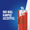 Red Bull Red Edition Enerji İçeceği, Karpuz, 250 ml - Görsel 2