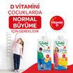 Pınar Çocuk Devam Sütü 1 Lt - Görsel 3