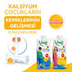 Pınar Çocuk Devam Sütü 1 Lt - Görsel 4