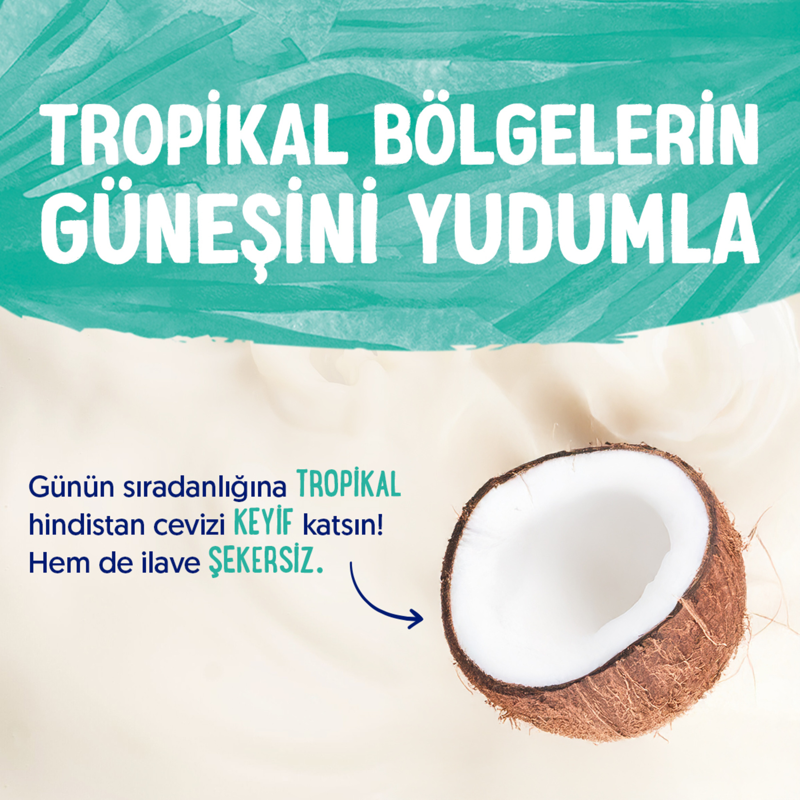 Alpro Hindistan Cevizi İçeceği 1 L - Görsel 4