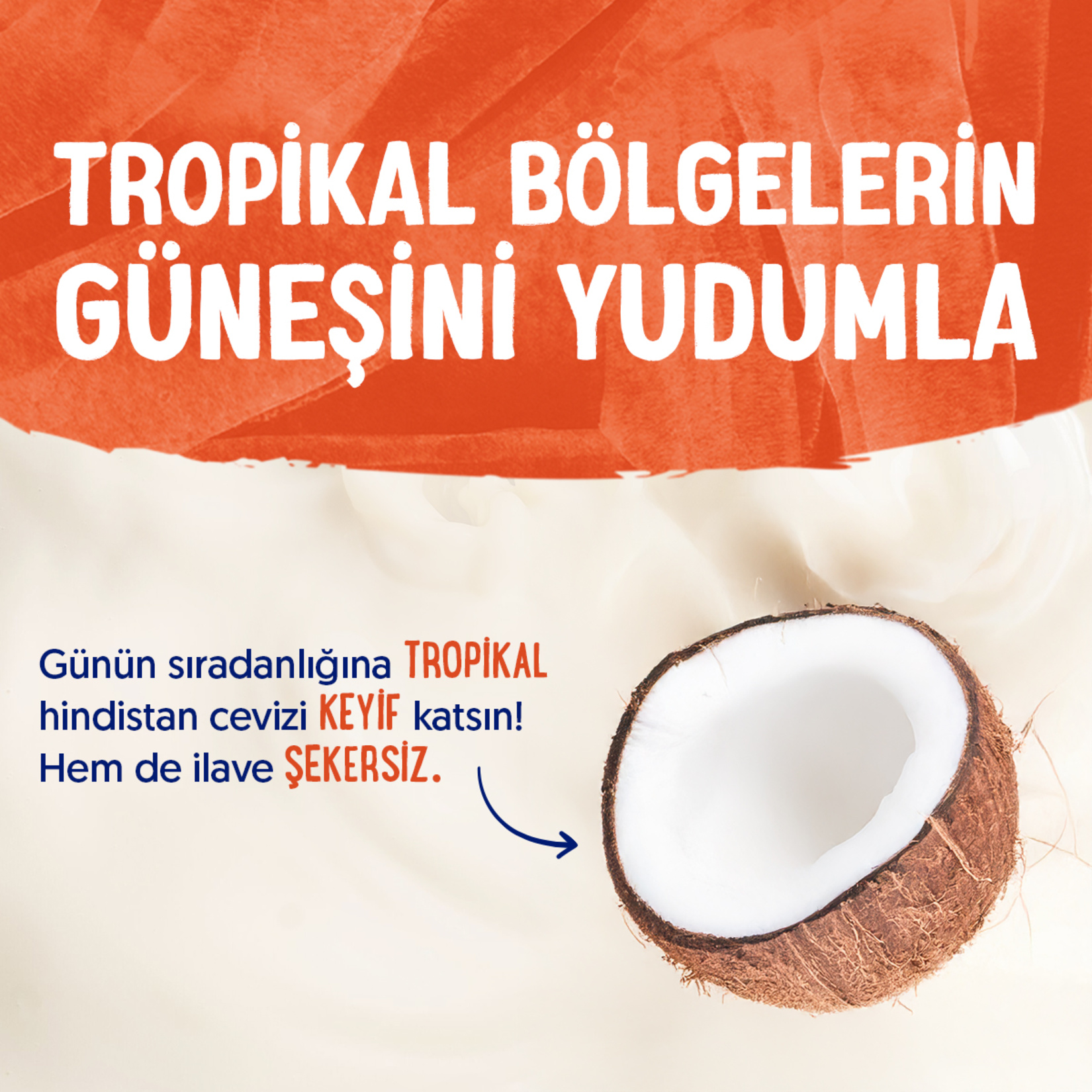 Alpro Hindistan Cevizi İçeceği Şekersiz 1 L - Görsel 4