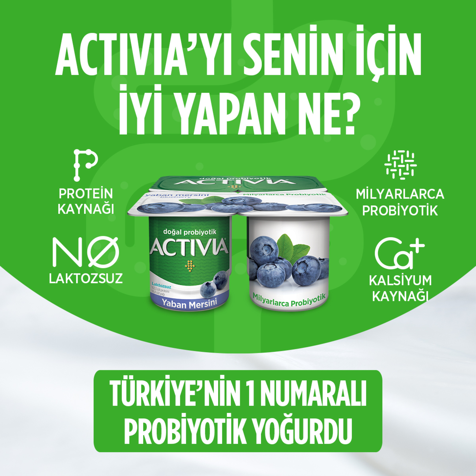 Activia Yaban Mersinli Probiyotik Yoğurt 4*100 G - Görsel 2