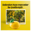 Limmo Dondurulmuş Limon Meyveli Püre 300 Ml - Görsel 2