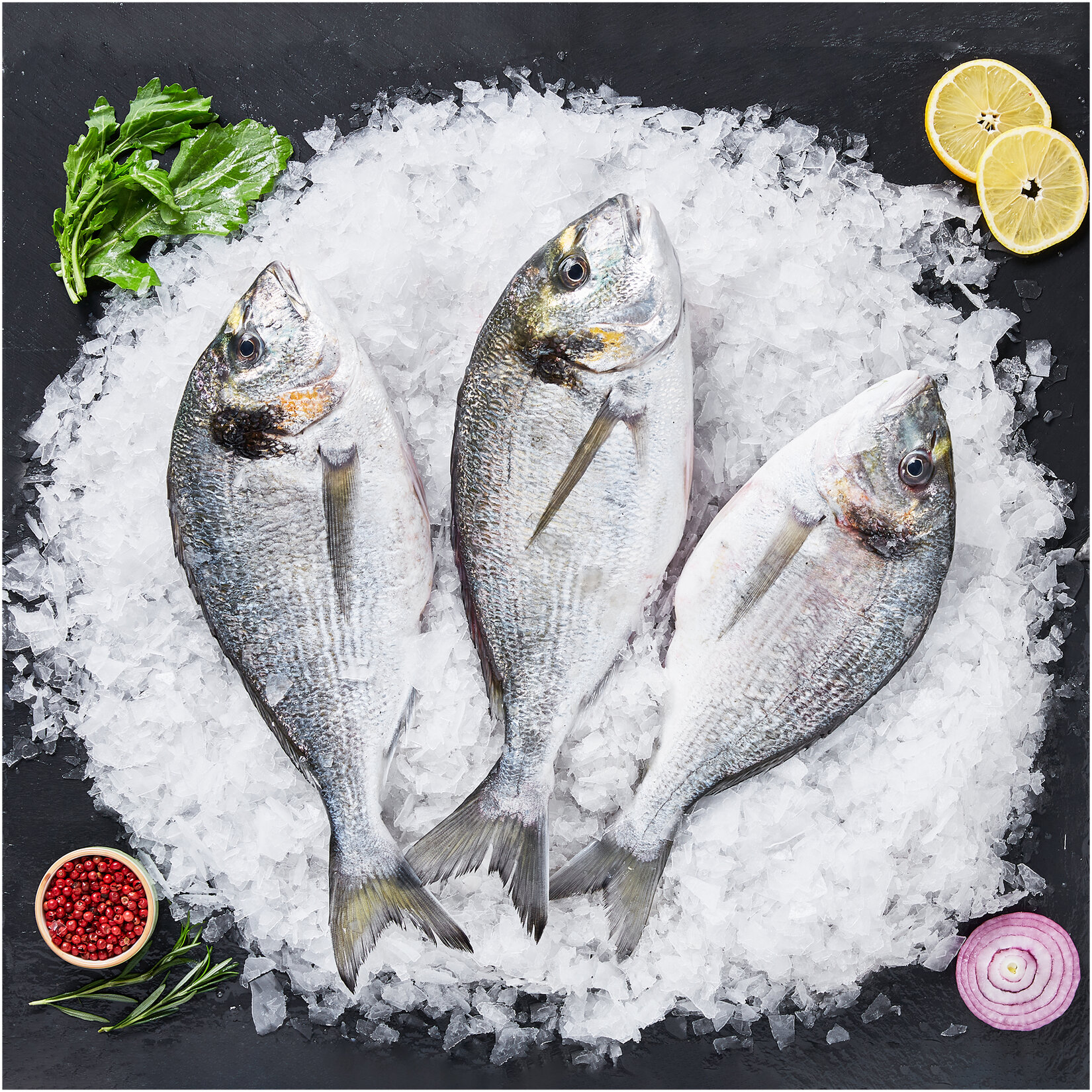 Çipura 1200/1300 Kg