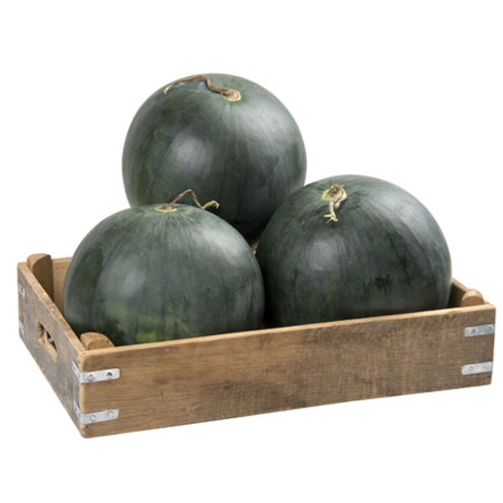 Karpuz Çekirdeksiz Adet