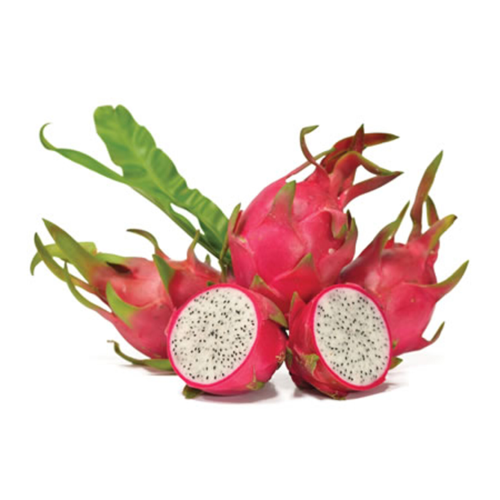 Excelente Pitahaya Tekli Paket