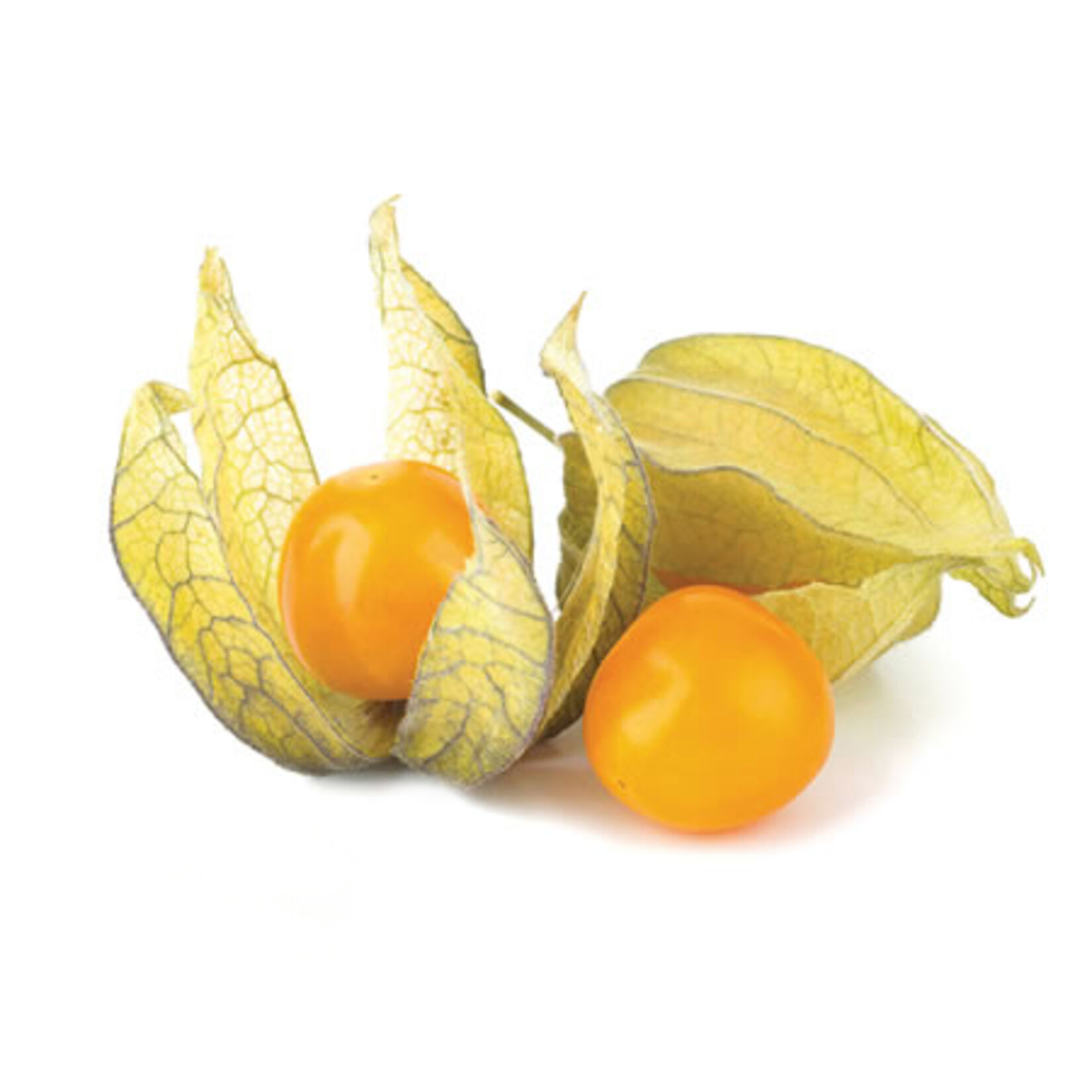 Kiraz Yer (Altın Çilek) 100 G