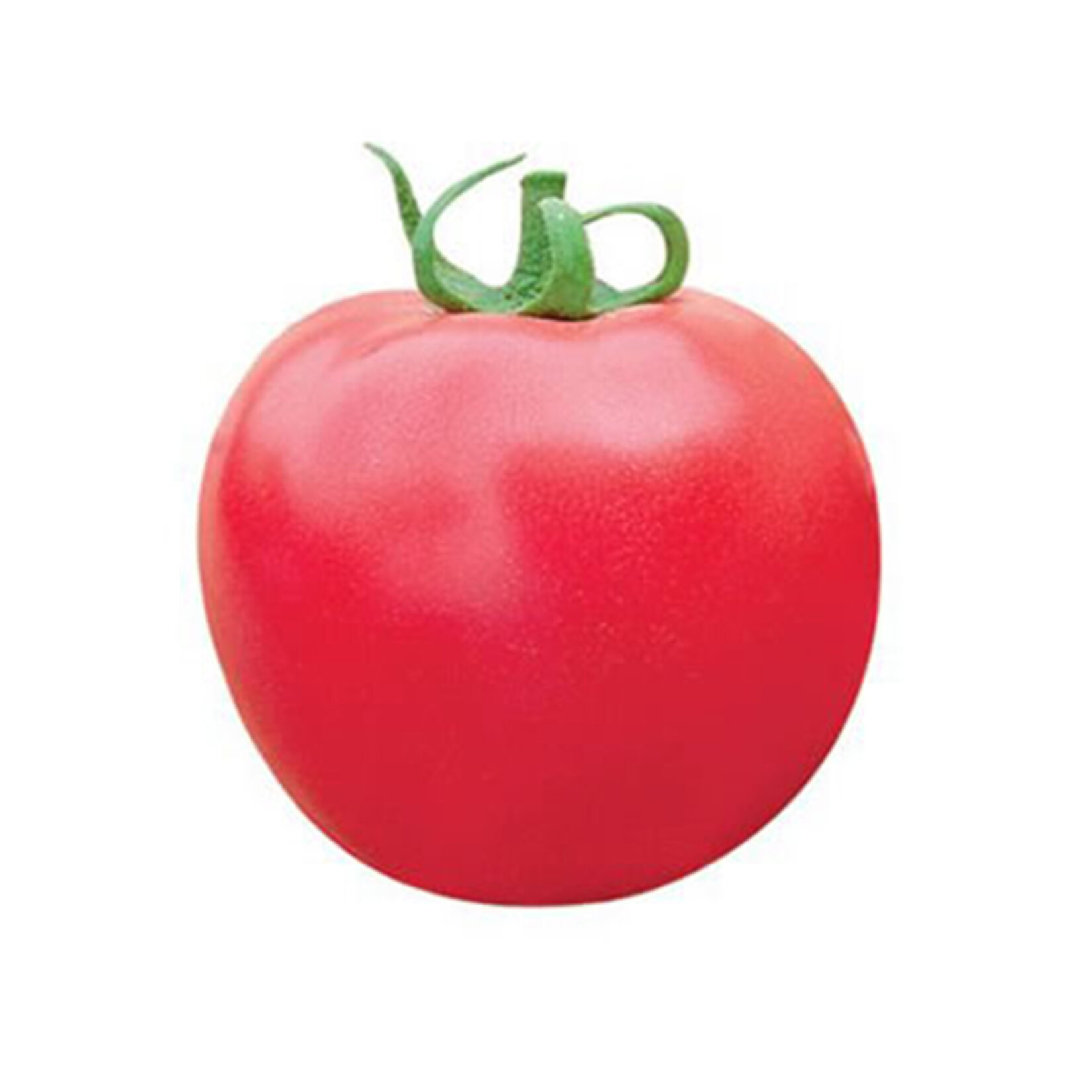 Domates Pembe 1 Kg Paket Adet