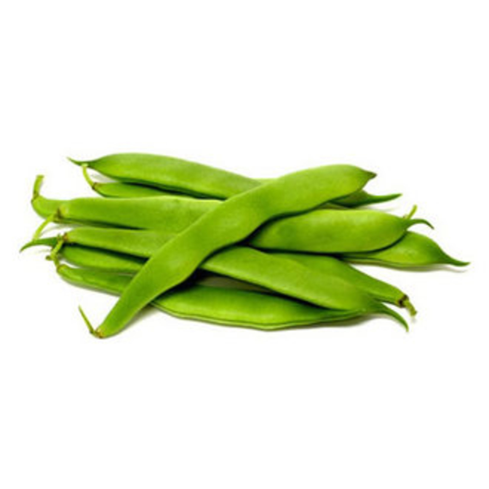 Migros Hemen Fasulye Çalı 500 G Paket