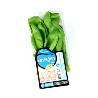 Erüst Fesleğen Taze 25 G Paket