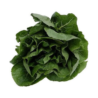 Ispanak Kg