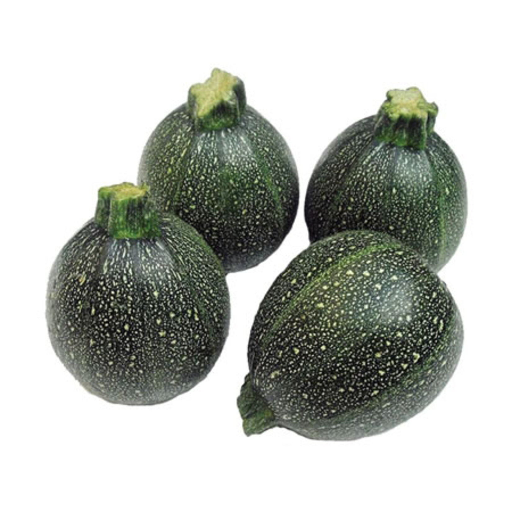 Kabak Dolmalık Kg