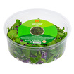 Migros Yemeye Hazır Roka Kap Salata 200 G - Görsel 2
