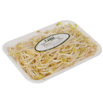 Erüst Soya Filizi 125 G Paket