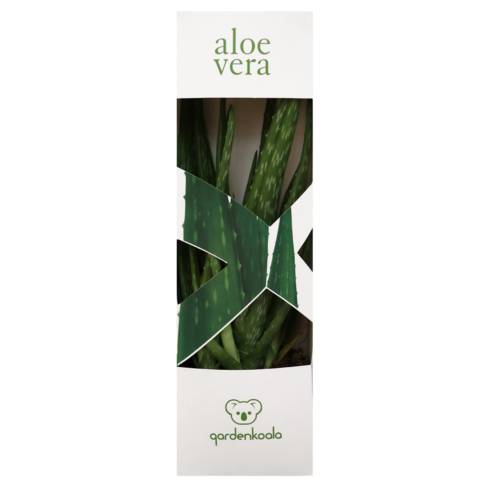 aloe vera gut bei rosacea e70 Rosacea Solve Face Wash