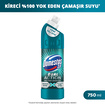 Domestos Dual Action Kireç Karşıtı Çamaşır Suyu 750 Ml - Görsel 2