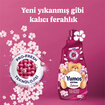 Yumoş Extra Konsantre Çamaşır Yumuşatıcı Sakura 1440 Ml 60 Yıkama - Görsel 5