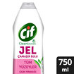 Cif Jel Yüzey Temizleyici Cleanboost Tüm Yüzeyler İçin Leke Çıkarıcı Çamaşır Sulu Çiçek Ferahlığı 750 ML - Görsel 2