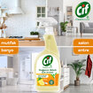 Cif Sprey Doğanın Gücü Mutfak 750 Ml - Görsel 3